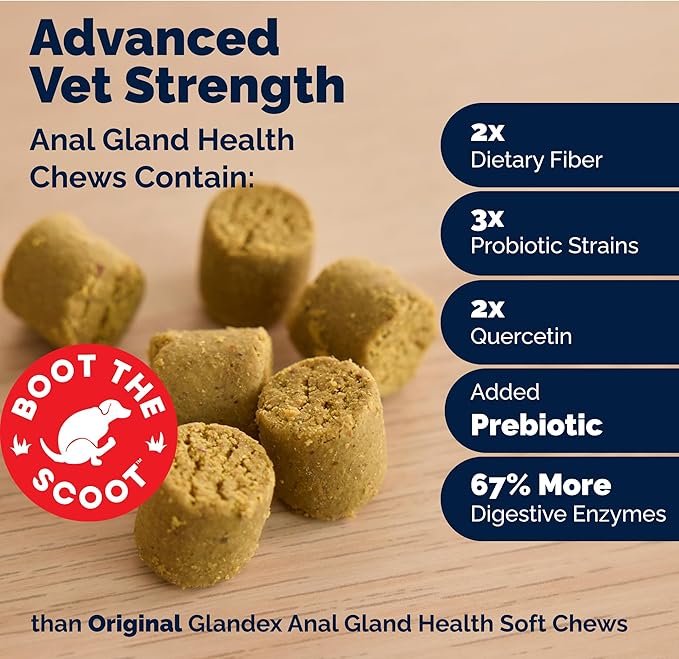 Vetnique Glandex Anal Gland Soft Chew Treats with Pumpkin for Dogs Digestive Enzymes, Probiotics Fiber Supplement for Dogs Boot The Scoot (Advanced Strength Duck/Bacon Chews (Vegetarian), 120 Ct)
