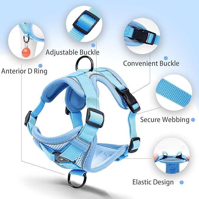 No Pull Dog Harness with Leash Set for Medium Sized Dog, Reflective Adjustable No Choke Front Clip Cat Vest Harness with Breathable Mesh, Comfortable Soft Padded Pet Vest, Blue XL