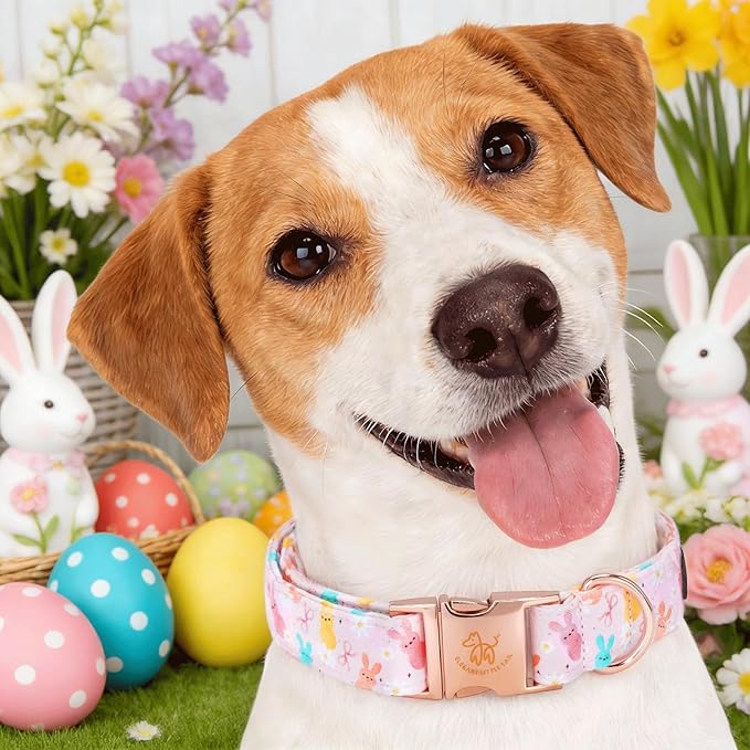 Elegant little tail Easter Dog Collar, Pink Bunny Floral Pattern Spring Pet Collars Gift Holiday Puppy Collars Soft Cotton Adjustable Dog Collar for Large Dogs