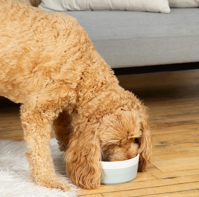 Waggo Dipper Ceramic Dog Bowl for Small and Large Breeds - Heavyweight and Durable Pet Food and Water Dish Crock, Dishwasher Safe, Modern (Medium, Cloud)