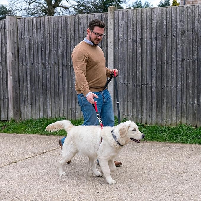Halti Control Leash - Multifunctional Double-Ended Dog Leash with 2 Handles. Ideal for Anti-Pulling Dog Training. Lightweight & Durable. Suitable for Dogs & Puppies (Size Large, Black, 2m)
