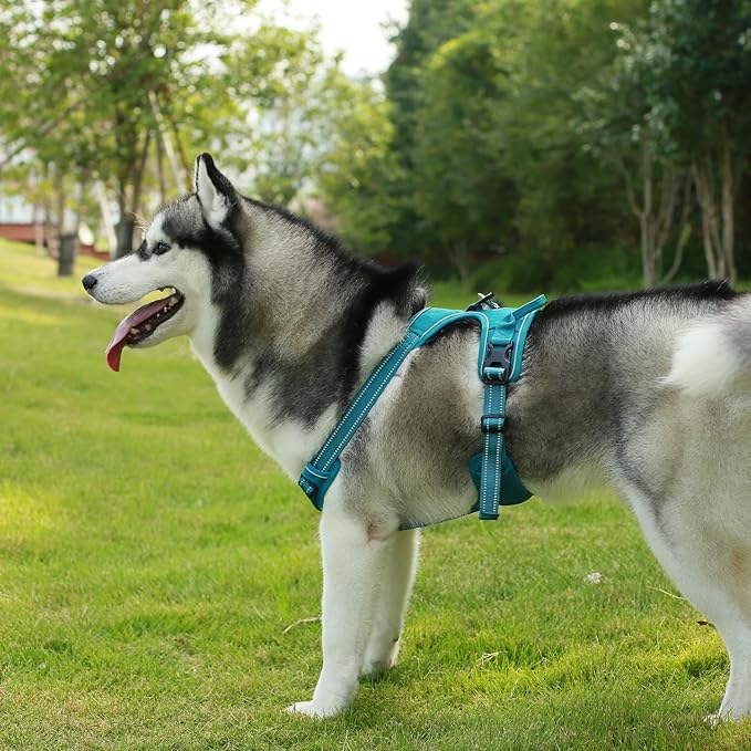 Voyager Dog Harness Dual Leash Attachment No-Pull Control Adjustable Soft but Strong Pet Harness for Medium and Large Dogs with 3M Reflective Technology, Turquoise Nylon, XS (Chest: 13-16")