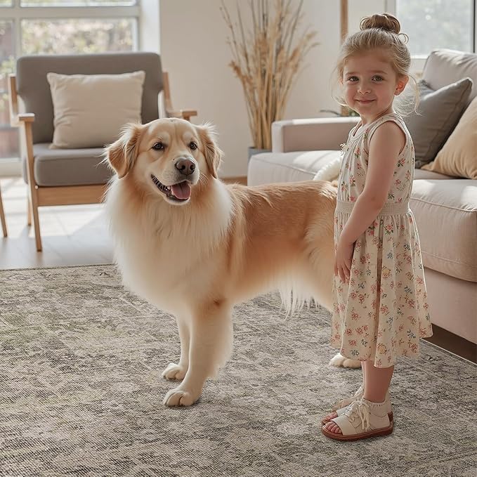 DCX Washable 8x10, Kid & Pet Friendly with Rubber Back Non Slip, Stain Resistant Vintage Rug for Living Room, Bedroom, Home Office, Soft Low Pile Large Farmhouse Distressed Carpet, Greige
