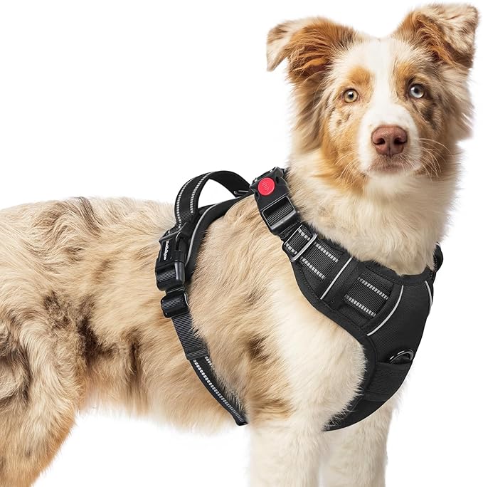 rabbitgoo Dog Harness Medium Sized, No Pull Pet Harness with 3 Buckles, Adjustable Soft Padded Vest with Control Handle, Walking Reflective Pet Vest for Medium Dogs, Black, M