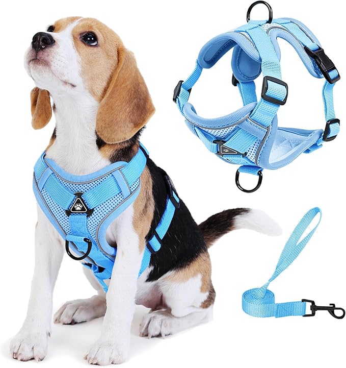 No Pull Dog Harness with Leash Set for Medium Sized Dog, Reflective Adjustable No Choke Front Clip Cat Vest Harness with Breathable Mesh, Comfortable Soft Padded Pet Vest, Blue XL