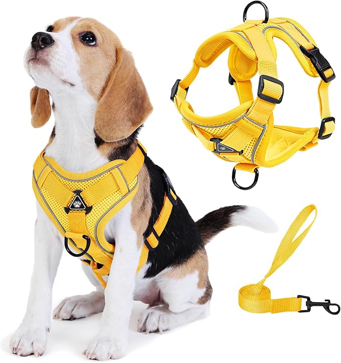 No Pull Dog Harness with Leash Set for Medium Sized Dog, Reflective Adjustable No Choke Front Clip Cat Vest Harness with Breathable Mesh, Comfortable Soft Padded Pet Vest, Yellow XL