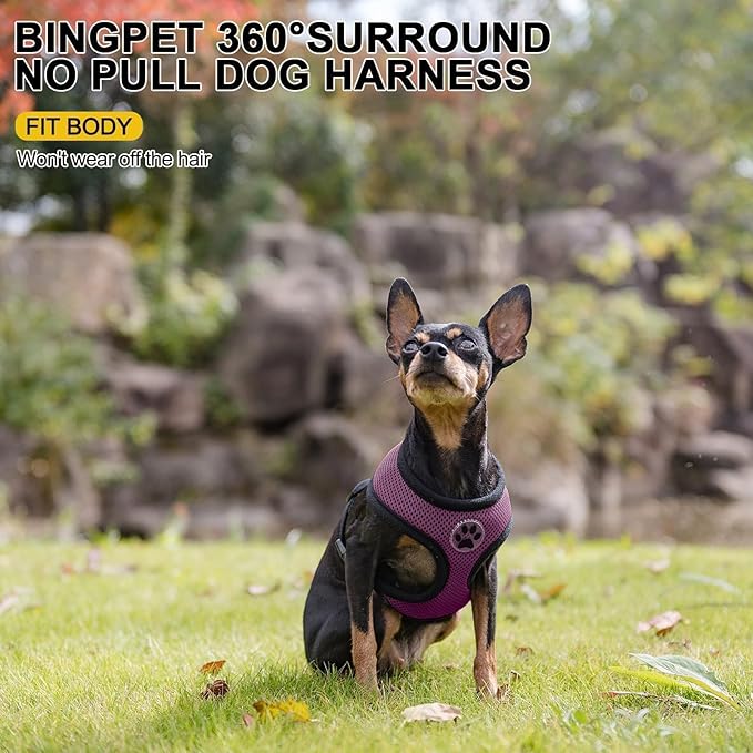 BINGPET No Pull Dog Harness for Small Dog,Soft Adjustable No Choke Escape Proof Pet Harness Vest,Fully Adjustable Harness,Breathable Mesh Puppy Cat Harnesses,Purple,S