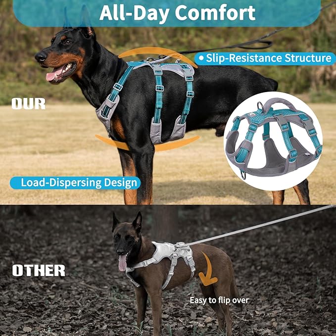 Huntboo Reflective Dog Harness with Handle, Escape Proof, No Slip, Breathable, Lightweight, Adjustable Lift Harness for Small, Medium, and Large Dogs Walking, Training, and Running Gear(Teal Blue,L)