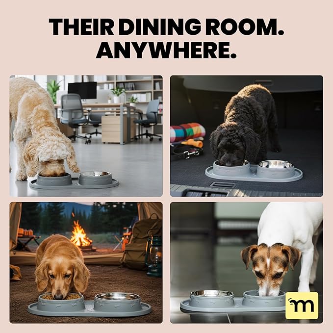 MalsiPree 2-in-1 Puppy Slow Feeder & Water Bowl Set - Essential Dog Gift for Small & Medium Pups - Silicone Feeding Mat & Stainless Steel Bowls, Travel-Ready Training Station for Fast Eaters - Gray