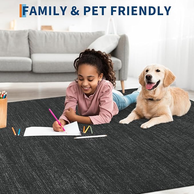 Washable Area Rug 8x10 for Living Room Bedroom Non Slip Minimalist Solid Color Area Rugs Modern Abstract Plain Dining Room Throw Carpet Low Pile Soft Classic Boho Rugs for Kitchen Nursery Oiifce,Black