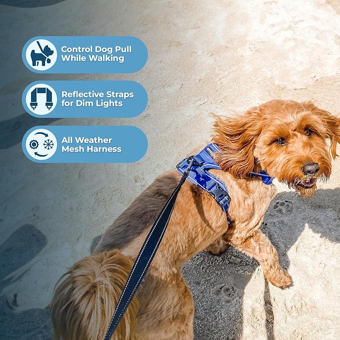 Voyager Dog Harness Dual Leash Attachment No-Pull Control Adjustable Soft but Strong Pet Harness for Medium and Large Dogs with 3M Reflective Technology, Royal Blue Lattice Nylon, XL (Chest: 28-37")