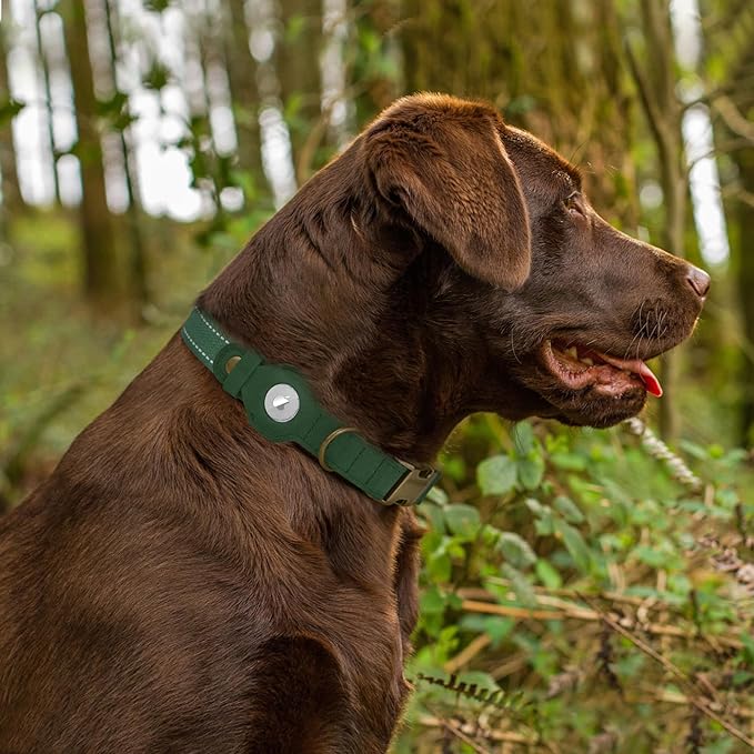 Reflective Leather Dog Collar with AirTag Holder - Soft Apple Airtag Dog Collar with Metal Buckle - Safety Cotton Pet Collars for Dogs Small Large Dogs Puppy (Hunter Green, M, 14"-18")