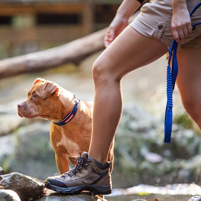 EzyDog Zero Shock Dog Leash - Shock Absorbing Bungee Leash for Dogs That Pull or Excite - Dual Handle and Reflective for Large, Medium, or Small Dogs (48-inch, Orange)