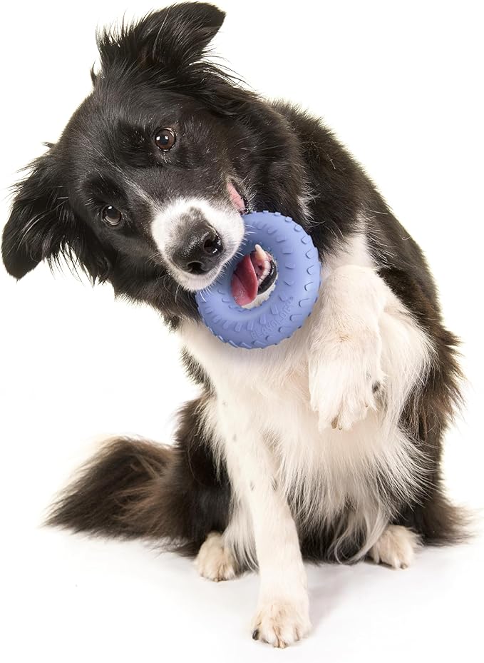 Playology Dog Toys | Dual Layer Ring Durable Chew Toy for Aggressive Chewers | Medium Blueberry Scented Toy - Easy to Clean and Made from Non Toxic Materials