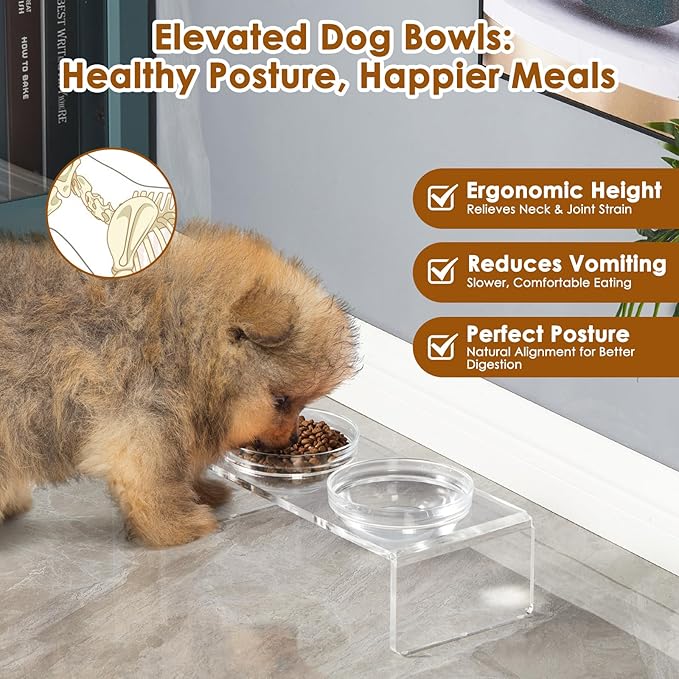 Elevated Acrylic Pet Bowl Stand – Raised Cat & Dog Bowls with 2 Glass & 2 Stainless Steel Bowls, Modern Clear Design, Non-Slip, Easy to Clean, Perfect for Small Pets, 3.75" Tall