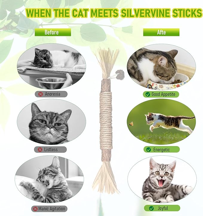 1 Pack Silvervine Cat Toy, Silvervines Sticks Cat Toys for Indoor Cats, Cat & Kitten Chew Toys for Aggressive Chewers, Cat Dental Toy for Kitten Teeth Cleaning, Matatabi Silvervine for Cats