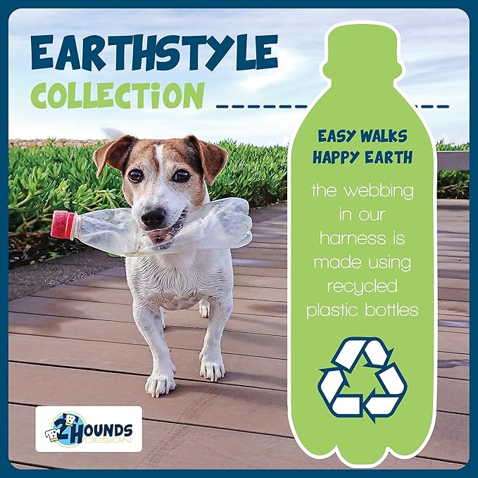 2 Hounds Design - Freedom No-Pull Harness & Training Leash in Green Aloha | Dual Leash Loops, No Pulling on Walks | Lined to Prevent Chaffing | for Small Sized Dogs (Size S, Chest 20”- 24”)