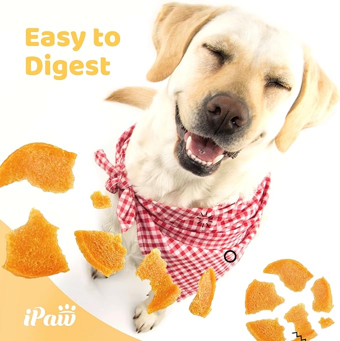 iPaw 5 Stock-Up Combo Chicken Chips Dog Treats for Puppy Training, All Natural Human Grade Dog Treat, Hypoallergenic, Easy to Digest (Chicken Chips), 5 Packs
