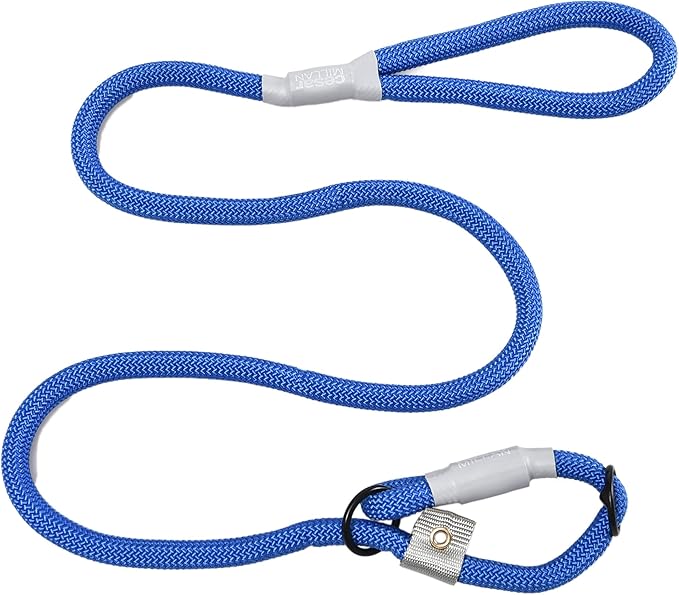 Cesar Millan Slip Lead Leash??- 2-in-1 Slip Collar Dog Training Lead & Collar | Heavy Duty Durable Weatherproof Rope Leash, No Pull Training | Length 4ft Diameter 4/10??Regular, Blue)