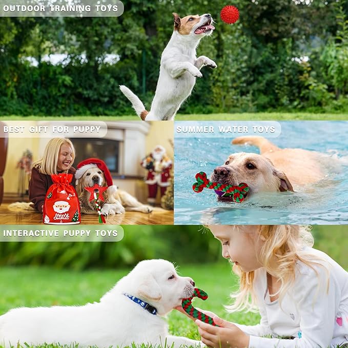 Christmas Dog Toys, 9 Pack Dog Rope Toy, Puppy Chew Toy for Teething with Gift Bag, Plush Squeaky Toy, Christmas Stocking Stuffers for Small Medium Dogs