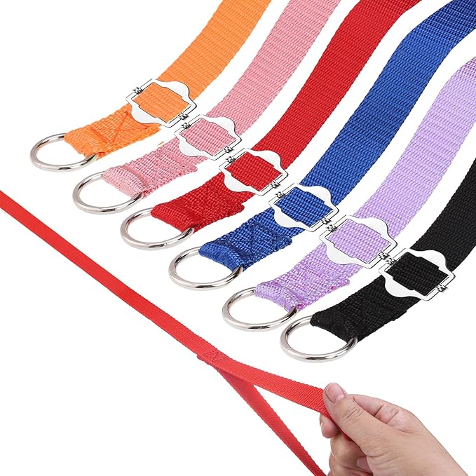 HOMIMP Slip Lead Dog Leash 6 FT- 6 PCS Bulk Colors Kennel Control Leashes for Small Medium Large Dogs Puppy Animal Rescue, Grooming - Heavy Duty Strong Nylon 6 Foot Long for Shelter, Vet, Training