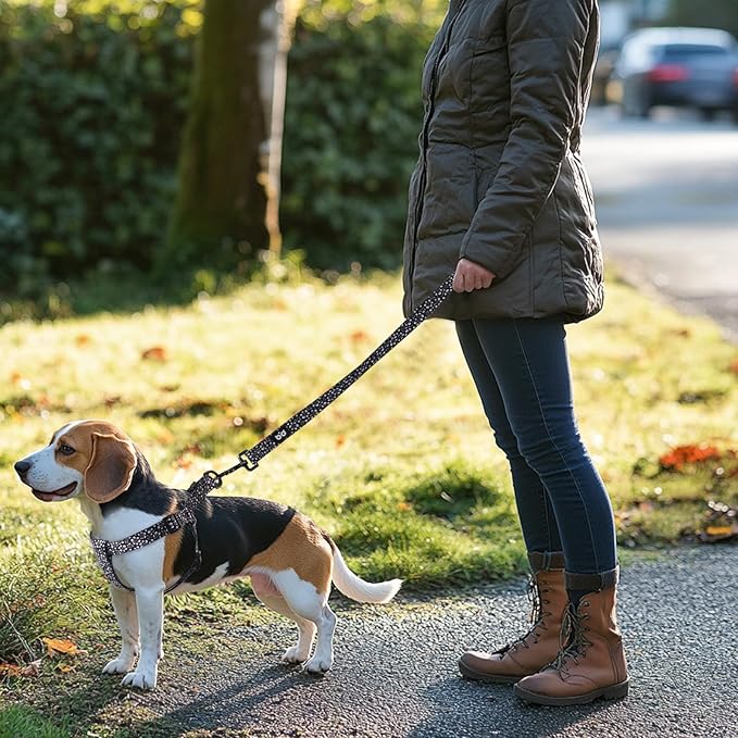 QQPETS Dog Harness Leash Set Adjustable Heavy Duty No Pull Halter Harnesses for Small Medium Large Breed Dogs Back Clip Anti-Twist Perfect for Walking