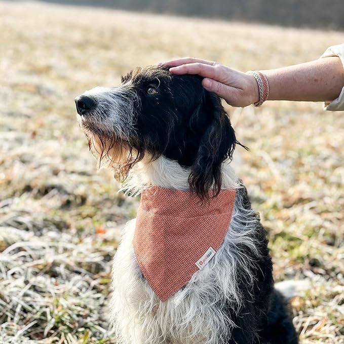 Pettsie Dog Bandana Collar with Matching Friendship Bracelet – Adjustable, Durable Hemp & Soft Cotton, Stylish & Comfortable Pet Bandana, Designed for Dog Lovers, Large, Orange