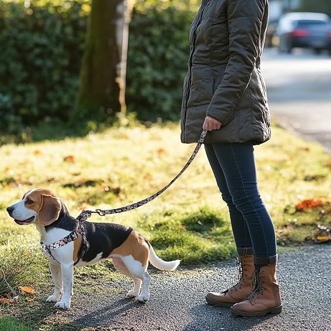 QQPETS Dog Harness Leash Set Adjustable Heavy Duty No Pull Halter Harnesses for Small Medium Large Breed Dogs Back Clip Anti-Twist Perfect for Walking