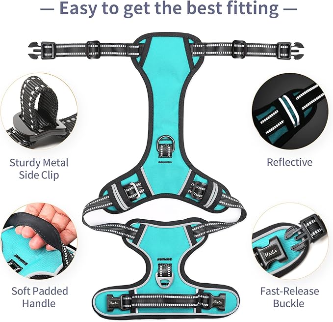 HEELE Dog Harness, No Pull Adjustable Padded Reflective Harness for Small Medium Large Dogs with Handle for Walking Training, Turquoise, XL