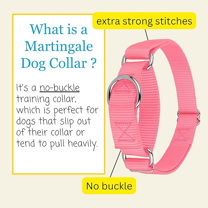 Country Brook Petz - Martingale Dog Collar - Heavy-Duty Training Collar with No Buckle - Service Dog Collar for All Pups - 10+ Warm Colors (Pink, 1 Inch, Medium)