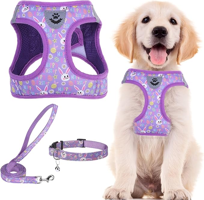 PUPTECK Adjustable Dog Harness Collar and Leash Set Step in No Pull Pet Harness for Small Medium Dogs Puppy and Cats Outdoor Walking Running, Soft Mesh Padded Reflective Vest Easter Harnesses