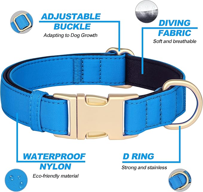 Didog Soft Padded Dog Collar for Large Dogs, Colorful and Durable Pet Collar with Quick Release Buckle, Light and Breathable for Daily Walking, Blue, L