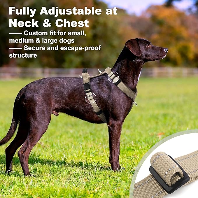 No Pull Dog Harness with Handle, Soft Mesh Padded Adjustable for Small Medium Large Dogs | Reflective Easy Walk Harness with Front Clip for Training, Running & Outdoor (Beige, XL)