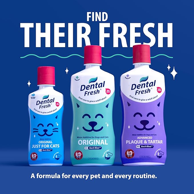 Dental Fresh Water Additive for Dogs and Cats, Clean Teeth and Fresh Breath, Daily Pet Oral Care, Flavorless, 8 fl oz