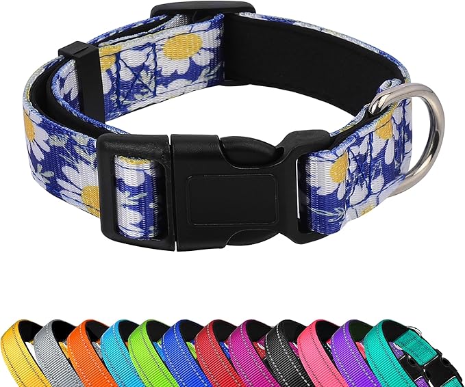 Reflective Dog Collar, Adjustable Soft Neoprene Padded Nylon Pet Collars with Buckle for Puppy and Small Dogs, Cats, Small Daisies Blue,S