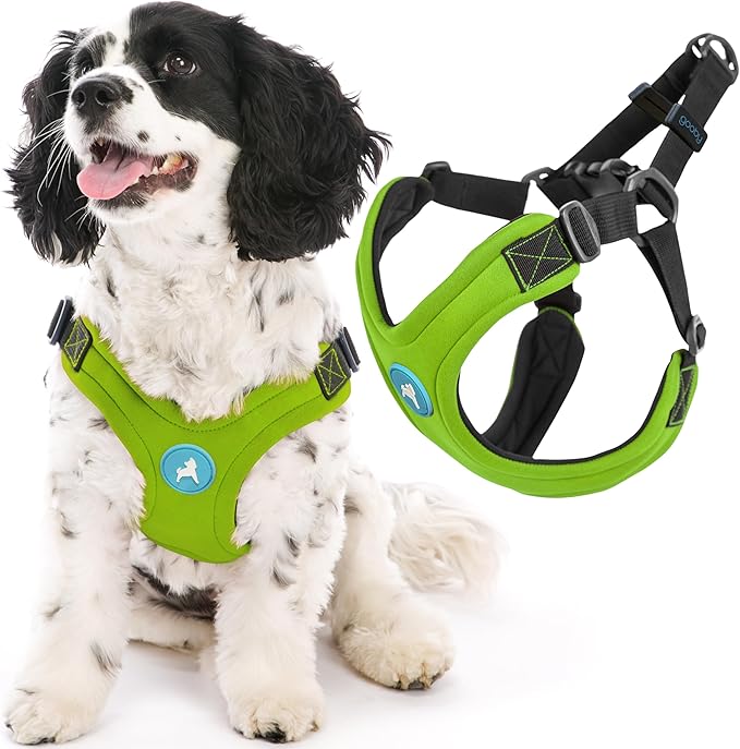 Gooby Escape Free Sport Harness - Lime, Small - No Choke Step-in Patented Neoprene Dog Harness with Four-Point Adjustment for Small to Medium Dogs