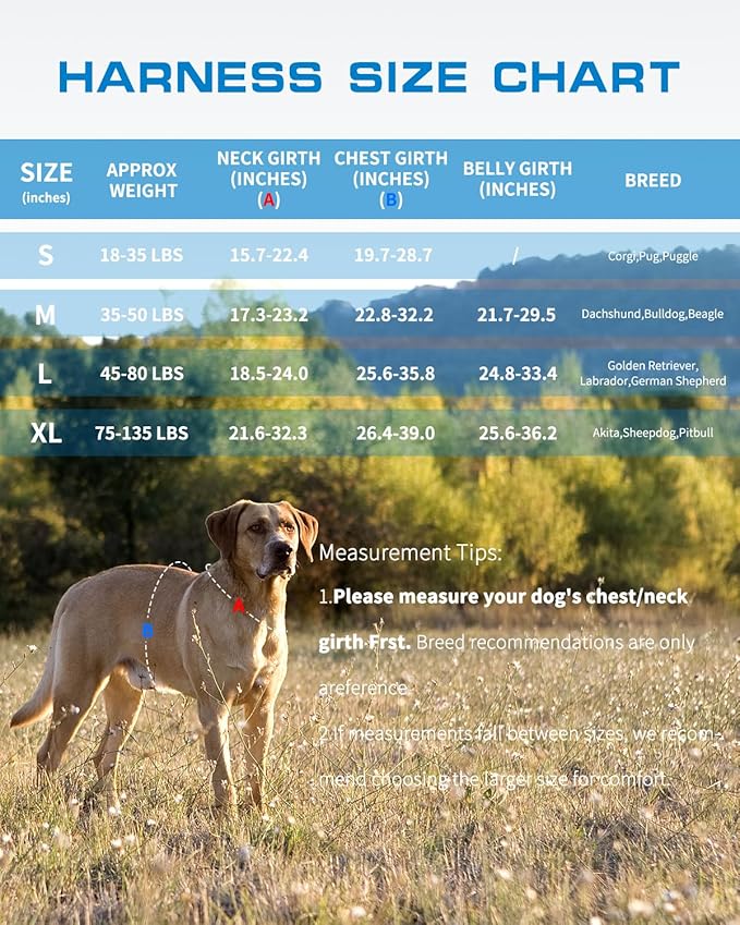 Dog Harness for Large Dogs Heavy Duty, No Pull Tactical Dog Harness with Molle System, Easy On and Off Service Dog Vest, Breathable Padded, Adjustable Reflective Pet Vest for Walking Hiking Training