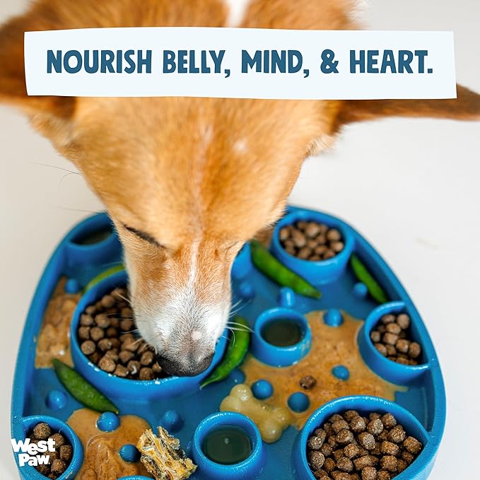 West Paw Seaflex Waves Feast Mat – All-in-One, Slow Feeder, Lick Mat – Encourages Foraging & Food Exploration - Engages Picky Eaters & Slow Feeding - Versatile – Easy to Clean, Non-Toxic - Mint