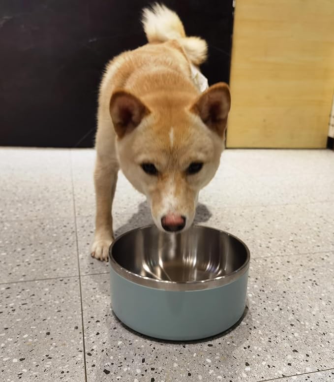 Dog Bowl, Stainless Steel Dog Food and Water Bowl with Non Slip Quiet Bottom, Easy to Clean, Dishwasher Safe, 40oz, Light Grey
