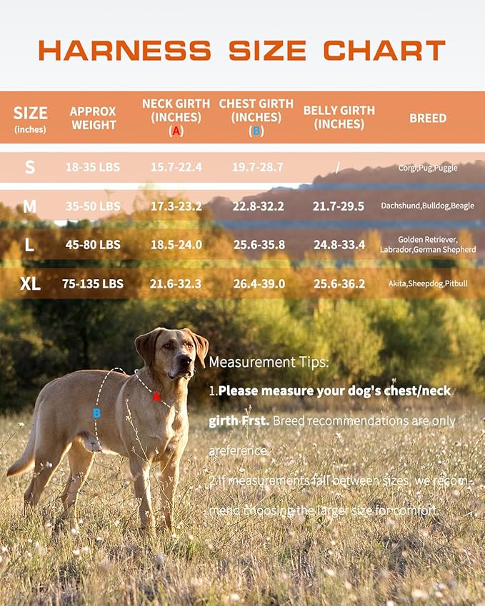 Small Dog Harness, Heavy Duty Tactical No Pull Dog Harness, No Choke, Easy On and Off Pet Vest with Molle System, Adjustable Reflective Dog Vest with Breathable Padded for Walking Hiking Training