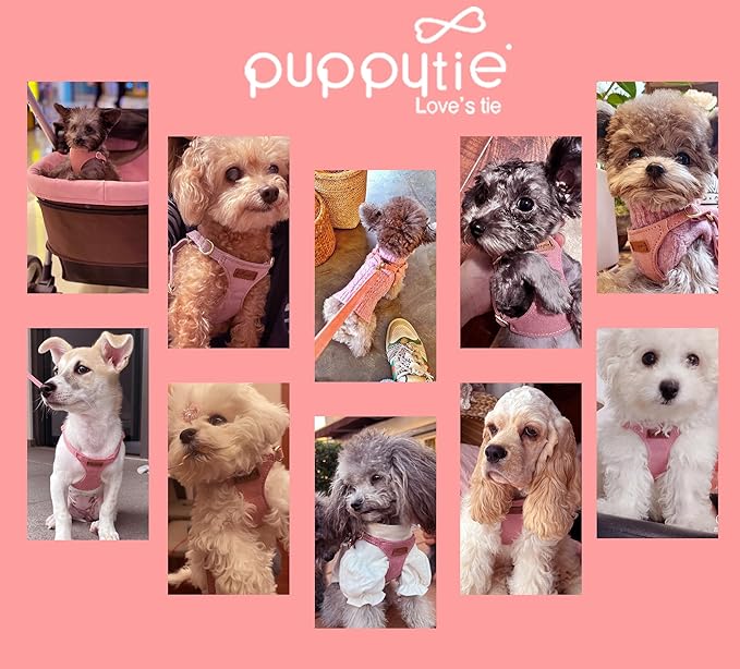 Puppytie No Pull Small Dog Harness with Multifunction Dog Leash, Lightweight Soft Adjustable No Choke Escape Proof Pet Harness Vest, Pink