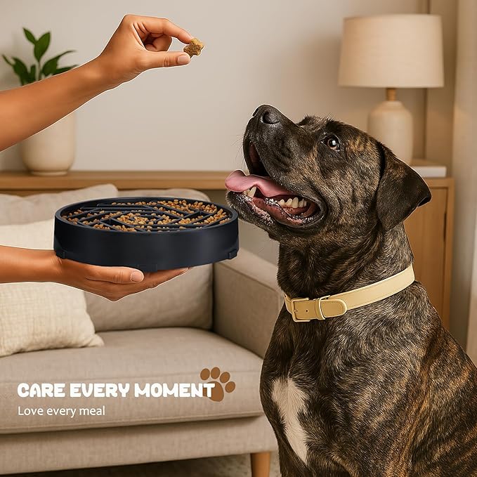 WHIPPY Slow Feeder Dog Bowl, Puzzle Maze Design to Slow Down Eating, 3-Cup Capacity, Anti-Gulping Food Bowl for Medium & Large Dogs,Black