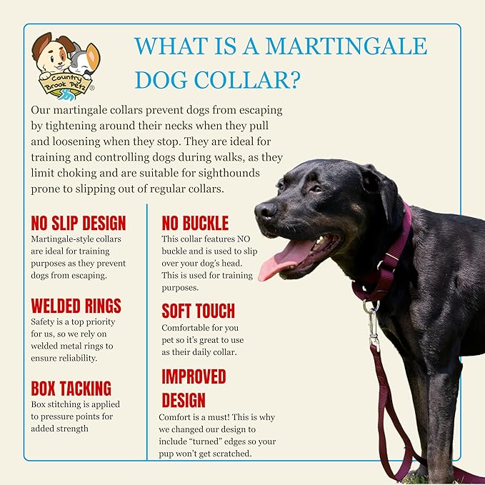 Country Brook Petz - Martingale Dog Collar - Heavy-Duty Training Collar with No Buckle - Service Dog Collar for All Pups - 10+ Warm Colors (Burgundy, 3/8 Inch, 2XS)