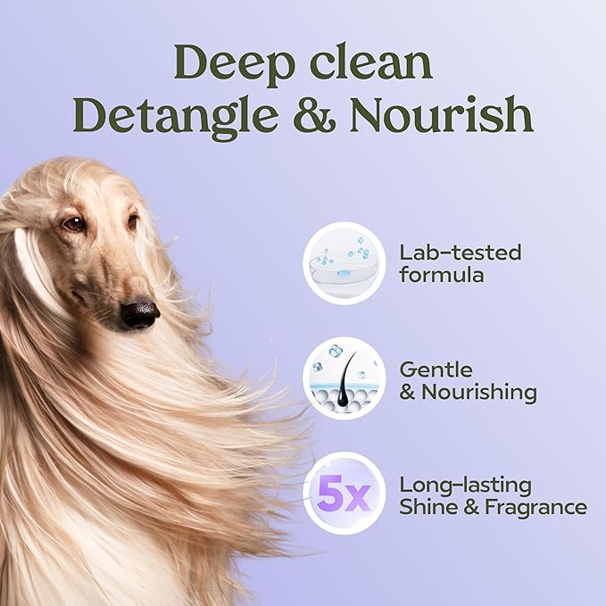 PAWFUME Dog Shedding Shampoo and Conditioner, Royal Lavender, 4-Pack – Nourish & Detangle for Silky Soft Coat – Probiotic, Deep-Cleaning, pH-Balanced – Salon-Quality Shedding Shampoo for Dogs