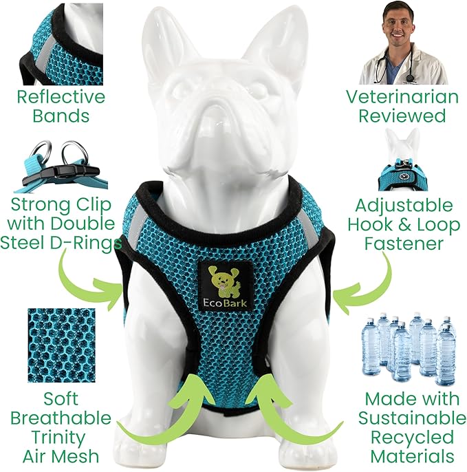 EcoBark Step in Dog Harness - Eco-Friendly Teacup Dog Harnesses for XXS, XS, and Small Dogs - Reflective and Adjustable Mini Body Halter Vest -Tiny Soft Mesh Toy Breed Harness (Aqua Sport, XXS)