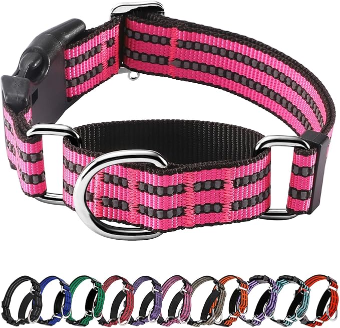 Hikiko Martingale Dog Collars Reflective Nylon Dog Collar with Quick Release Buckle Adjustable Training No Slip Dog Collar (Medium, Hot Pink)