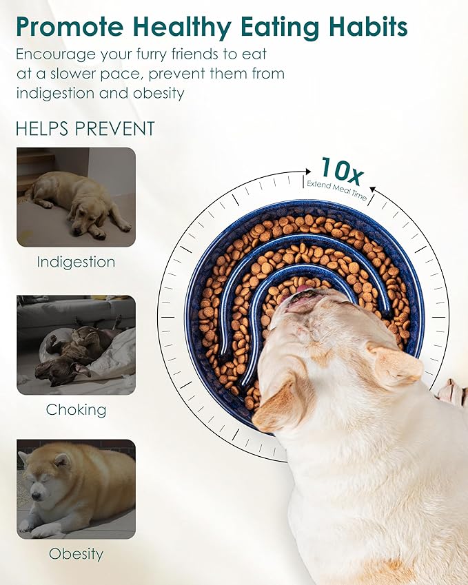 vancasso Slow Feeder Dog Bowl, 0.6 Cup Ceramic Slow Feeding Food Dish for Small Breed, Puzzle Dog Food Bowl for Fast Eater, Blue