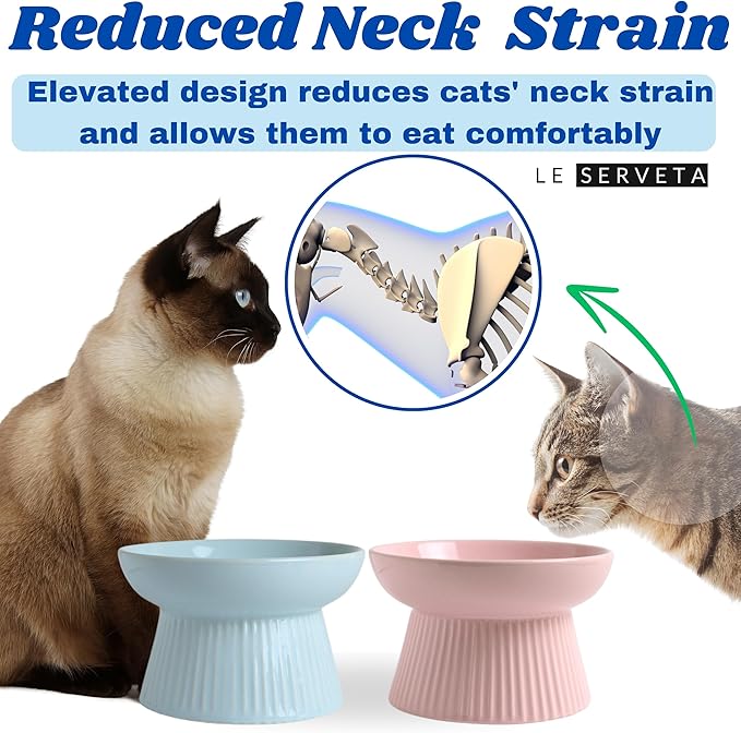 2 Pack Ceramic Slow Feeder Cat Bowl, Raised Puzzle Feeder, Anti-Vomiting, Elevated Food Bowl, Whisker Friendly (Blue, Pink)