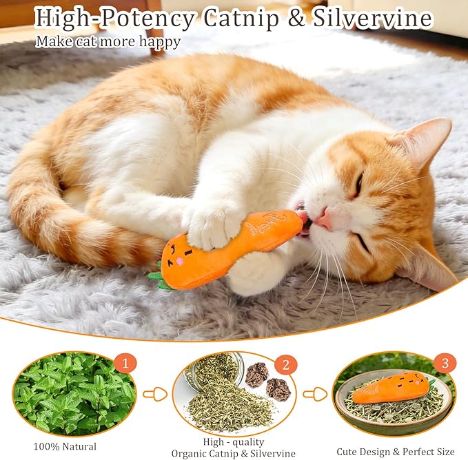 Catnip Cat Toys, 5 Pack, Plush Cat Nip Toys for Indoor Kitten Kitty, Interactive Cat Kicker Chew Safe Teeth Cleaning Toys, Fun Vegetable Shape