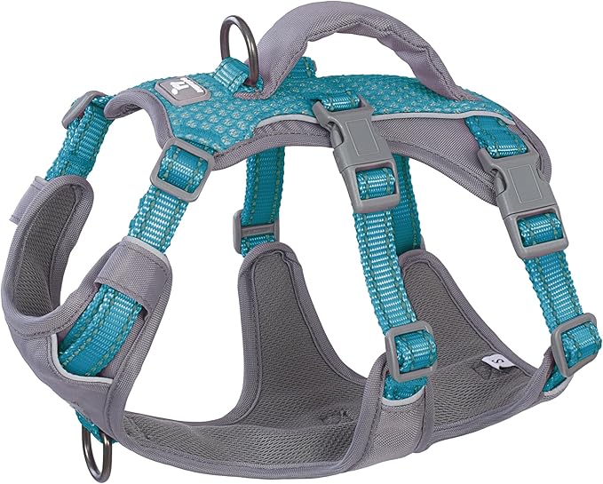 Huntboo Reflective Dog Harness with Handle, Escape Proof, No Slip, Breathable, Lightweight, Adjustable Lift Harness for Small, Medium, and Large Dogs Walking, Training, and Running Gear(Teal Blue,XS)